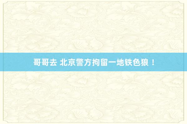哥哥去 北京警方拘留一地铁色狼 ！