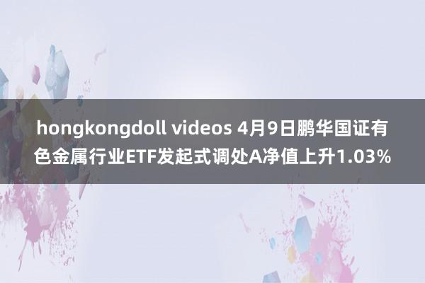 hongkongdoll videos 4月9日鹏华国证有色金属行业ETF发起式调处A净值上升1.03%