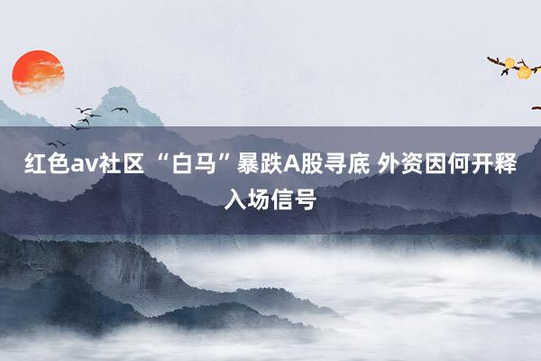 红色av社区 “白马”暴跌A股寻底 外资因何开释入场信号