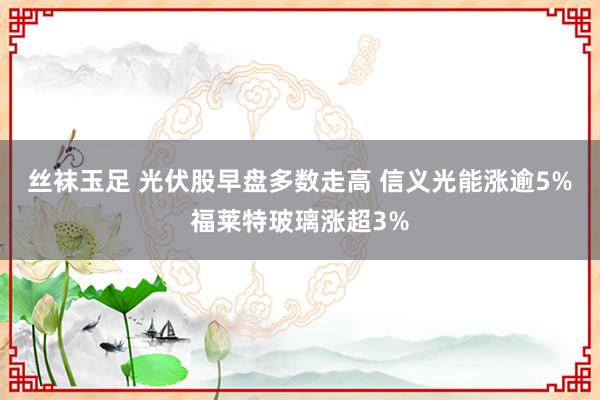 丝袜玉足 光伏股早盘多数走高 信义光能涨逾5%福莱特玻璃涨超3%
