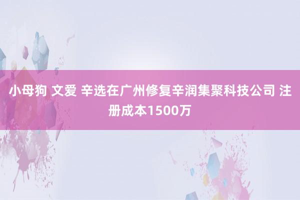 小母狗 文爱 辛选在广州修复辛润集聚科技公司 注册成本1500万