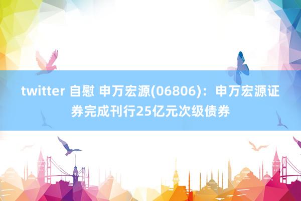 twitter 自慰 申万宏源(06806)：申万宏源证券完成刊行25亿元次级债券