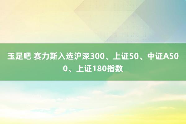 玉足吧 赛力斯入选沪深300、上证50、中证A500、上证180指数