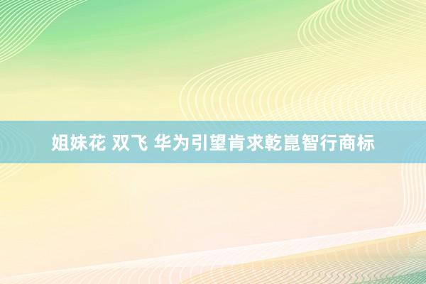 姐妹花 双飞 华为引望肯求乾崑智行商标