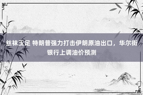 丝袜玉足 特朗普强力打击伊朗原油出口，华尔街银行上调油价预测