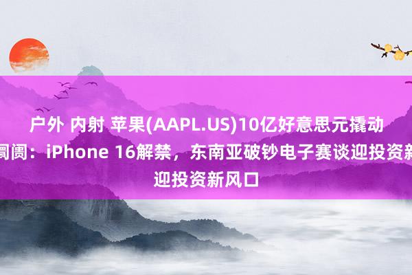 户外 内射 苹果(AAPL.US)10亿好意思元撬动印尼阛阓：iPhone 16解禁，东南亚破钞电子赛谈迎投资新风口