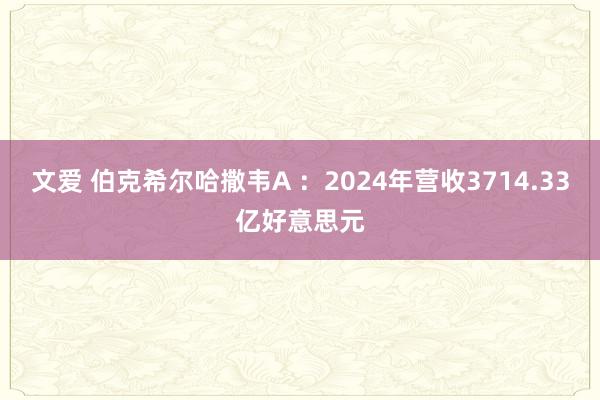 文爱 伯克希尔哈撒韦A ：2024年营收3714.33亿好意思元